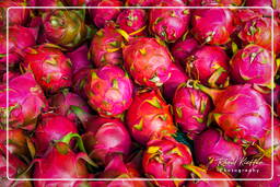 Mercado de Caiena (62) Fruta do dragão (Pitaia)