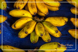 Banana, Cayenne market (65)