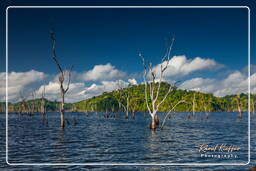 Presa Petit Saut (10)