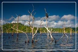 Barrage Petit Saut (19)