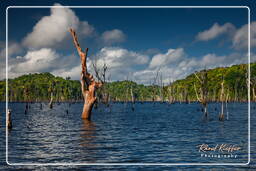 Dam Petit Saut (127)