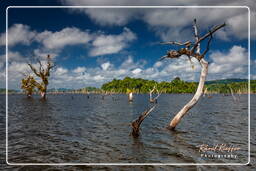 Represa Petit Saut (358)