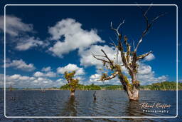 Represa Petit Saut (385)