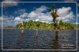 Represa Petit Saut (406)