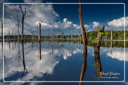 Represa Petit Saut (933)