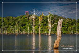 Represa Petit Saut (985)