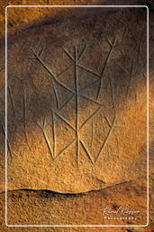 Roches Gravées de la Carapa (96)