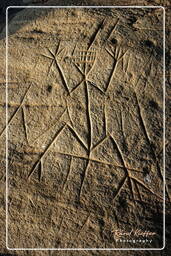 Roches Gravées de la Carapa (239)
