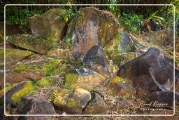 Rocas Grabadas de Mahury (33)