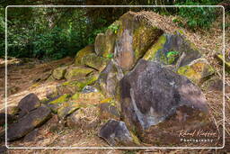 Rocas Grabadas de Mahury (55)