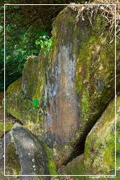 Engraved Rocks of Mahury (60)