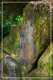 Engraved Rocks of Mahury (60)