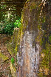 Rocas Grabadas de Mahury (62)