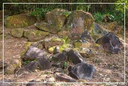 Gravierte Steine von Mahury (71)