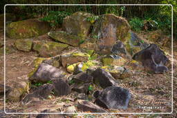 Rocas Grabadas de Mahury (71)