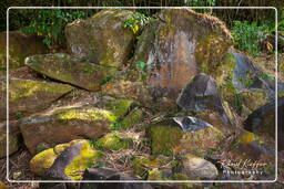 Rocas Grabadas de Mahury (79)