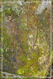 Engraved Rocks of Mahury (86)