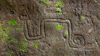 Serpent de Pascaud, French Guiana, France
