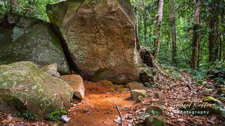 Favard Mountain, French Guiana, France