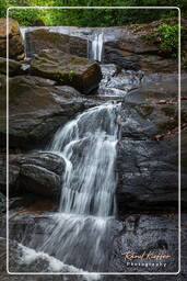 Fourgassier Falls (21)