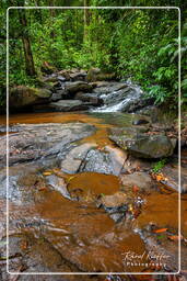 Chutes de Fourgassier (60)