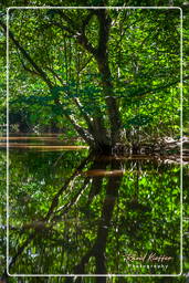 Gabriel Creek (84)