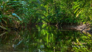 Gabriel Creek, French Guiana, France