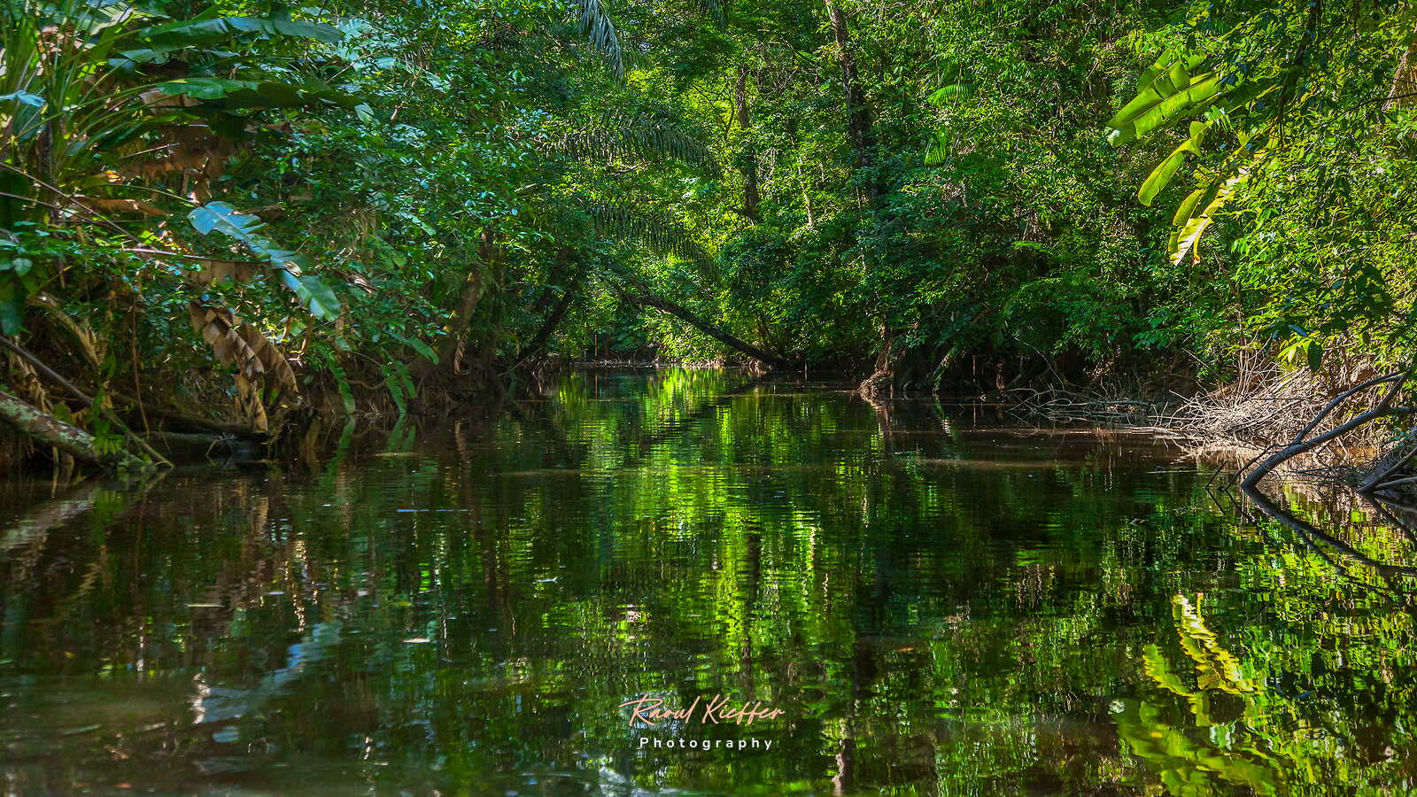 Gabriel Creek