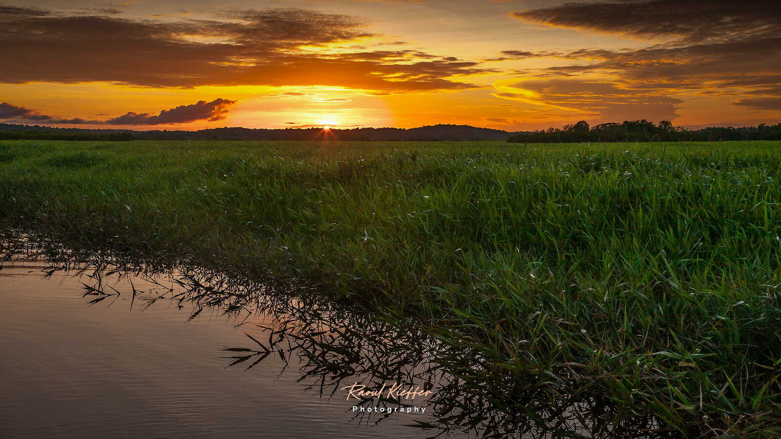 Kaw-Roura Marshland