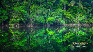 Kourou River, French Guiana, France
