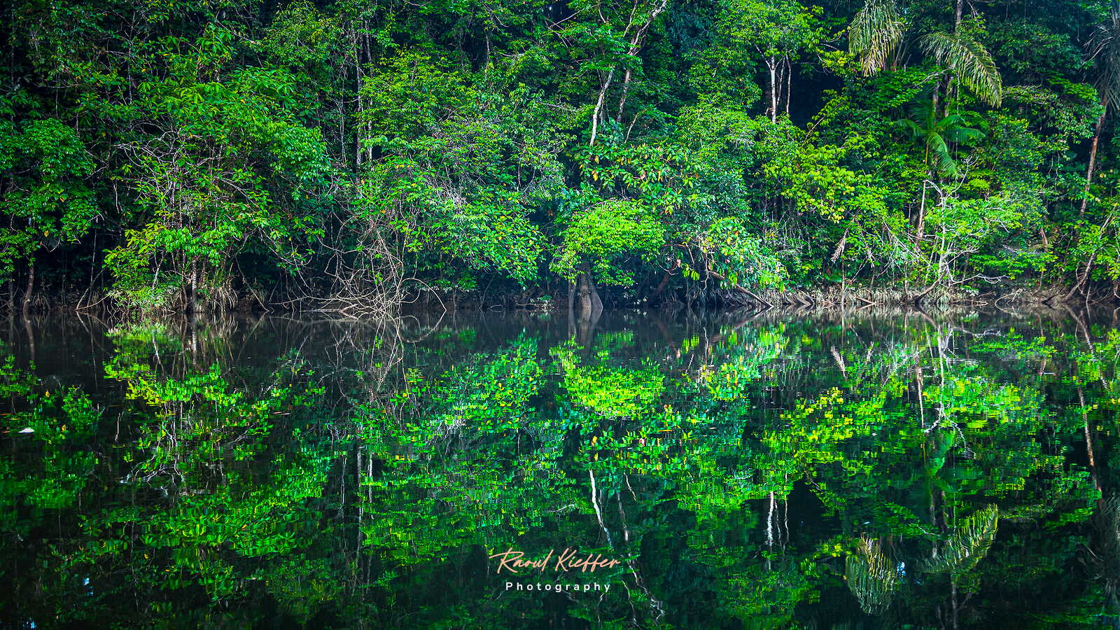 Kourou River