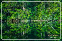Kourou River (752)
