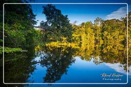 Kourou River (796)