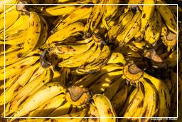 Kourou (7) Banane