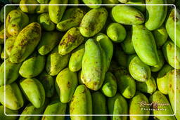 Kourou (11) Marché de Kourou