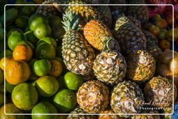 Pineapple, Kourou (12)
