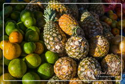 Kourou (12) Ananas