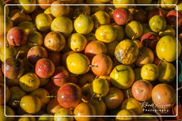 Kourou (17) Maracudja jaune (Fruit de la passion)