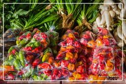 Chili pepper, Kourou (25)