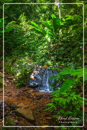 Sentier de la Mirande (94)