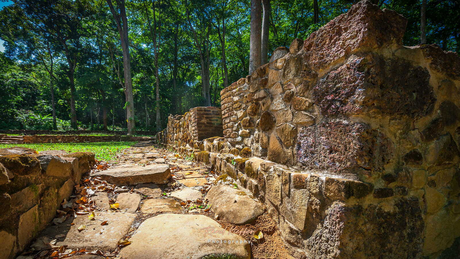 Loyola Trail