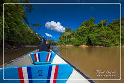 - Inini Creek, Maripasoula (280)