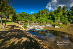 - Inini Creek, Maripasoula (327)