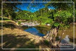 Maripasoula (335) - Inini Creek