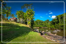 - Inini Creek, Maripasoula (364)