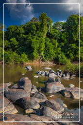- Inini Creek, Maripasoula (369)