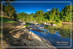 - Inini Creek, Maripasoula (434)