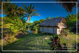 - Inini Creek, Maripasoula (438)