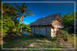 - Inini Creek, Maripasoula (445)