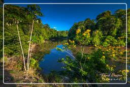 Maripasoula (455) - Arroyo Inini